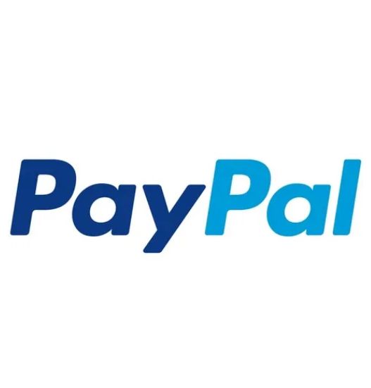 govt-bring-paypal-enhance-it-export-remittances