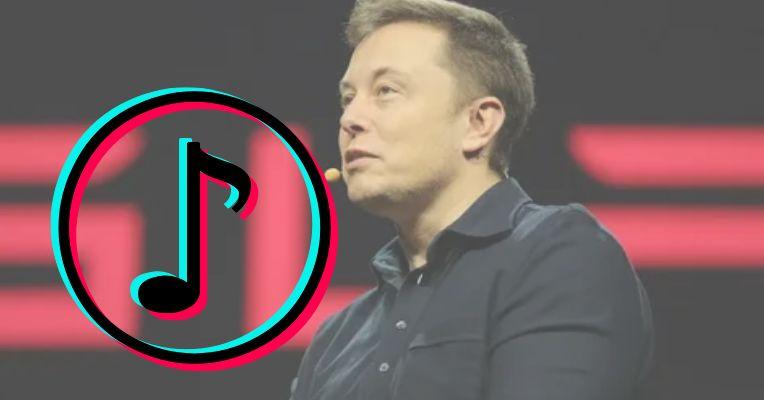 Could Elon Musk Buy TikTok to Prevent U.S. Ban